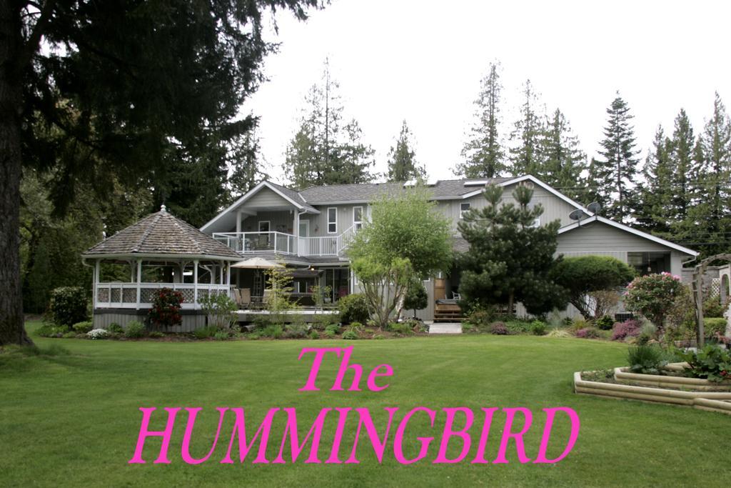 Hummingbird Guesthouse 포트알버니 외부 사진