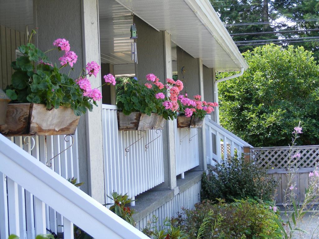 Hummingbird Guesthouse 포트알버니 외부 사진